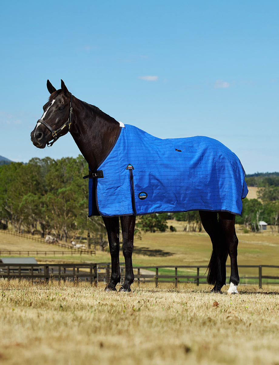 WeatherBeeta Lined Canvas