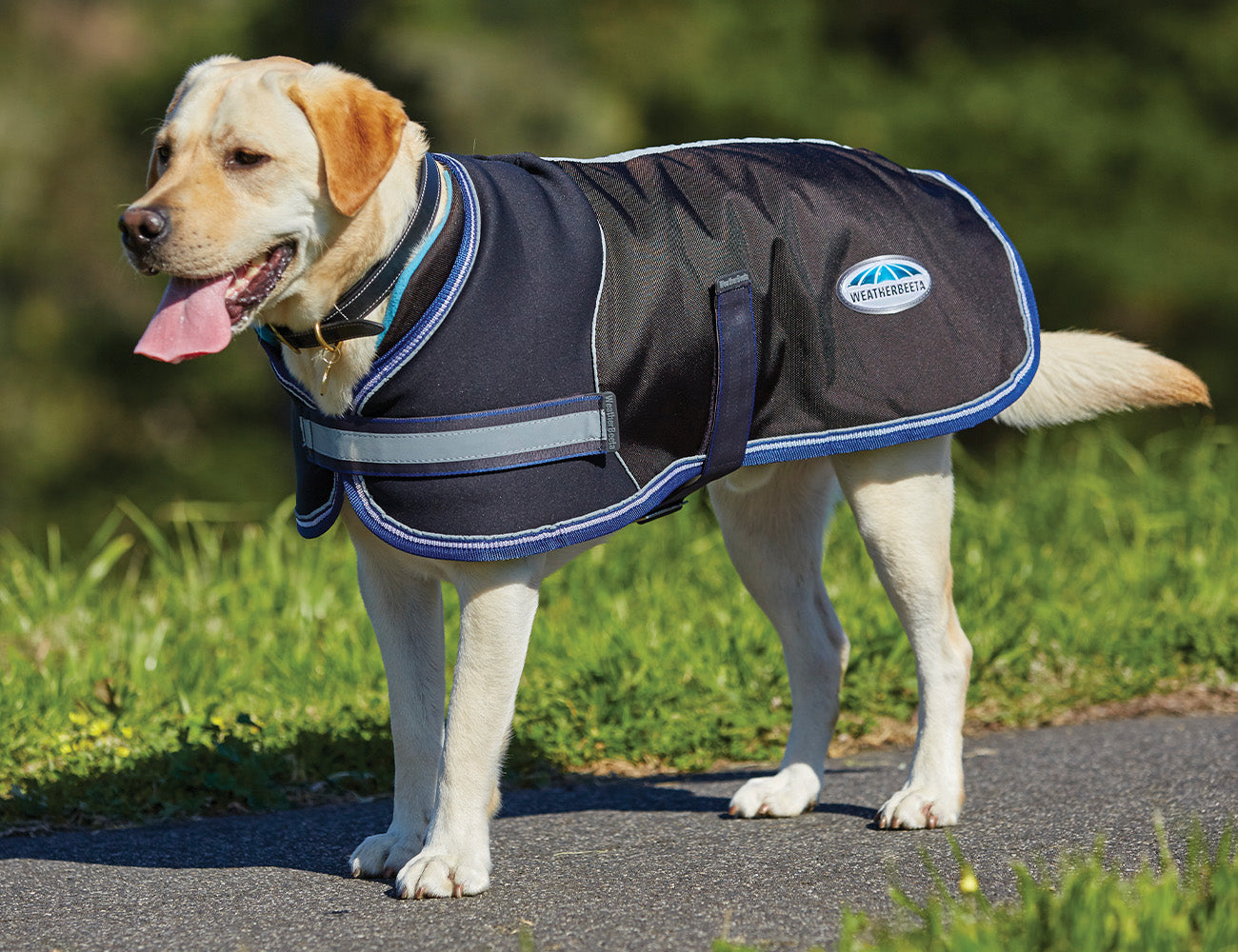 WeatherBeeta Parka 1680D Dog Coat