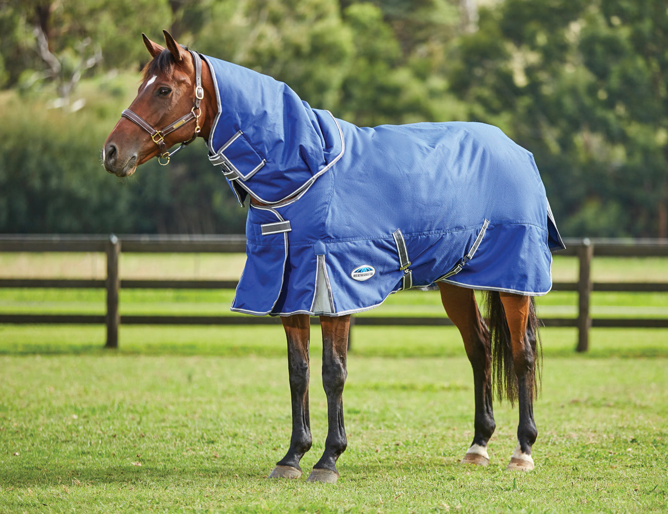 WeatherBeeta ComFiTec Premier Free II Detach-A-Neck Lite