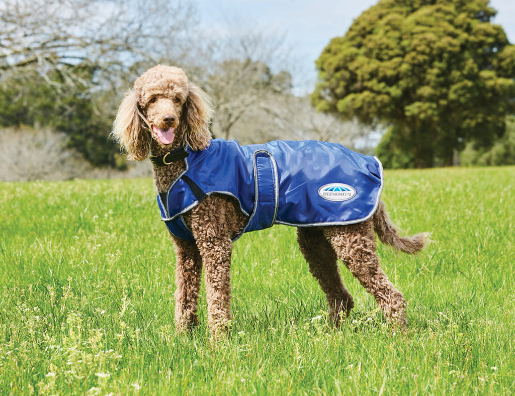 WeatherBeeta ComFiTec Windbreaker Free Deluxe Dog Coat