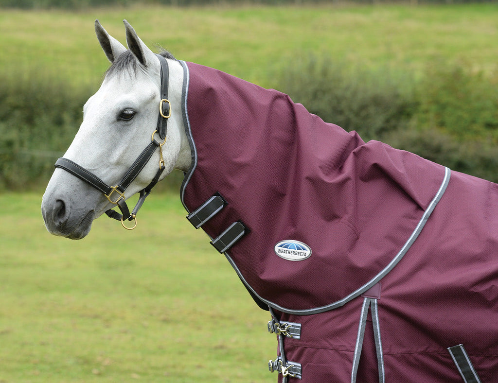 WeatherBeeta ComFiTec Plus Dynamic II Neck Rug Medium/Lite
