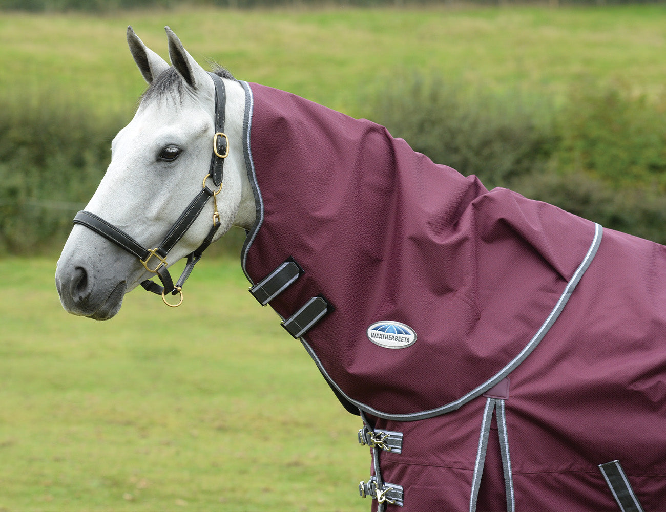 WeatherBeeta ComFiTec Plus Dynamic II Neck Rug Medium/Lite