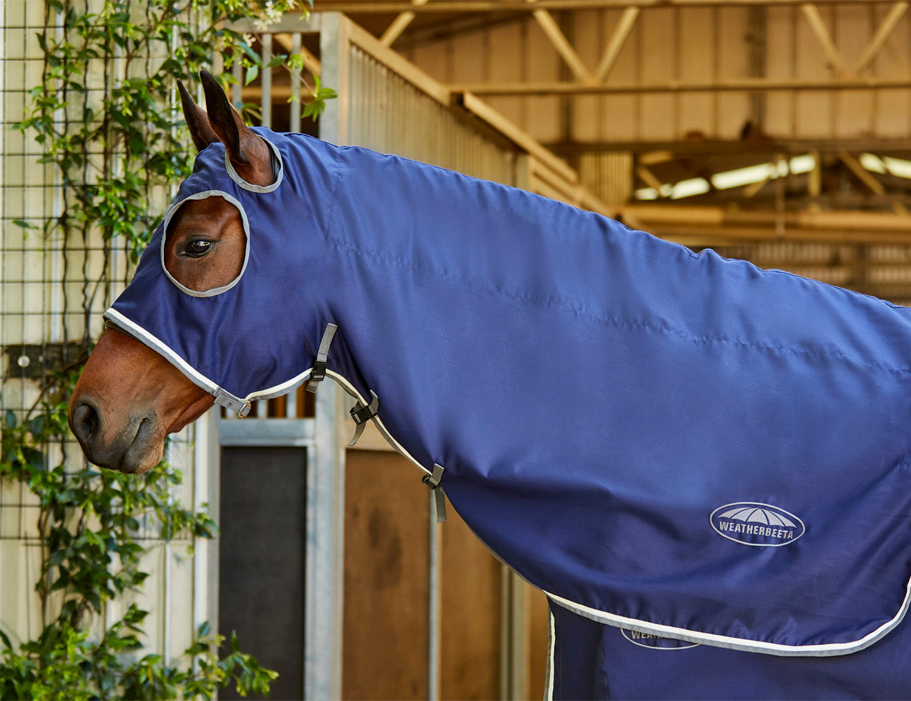 WeatherBeeta Show Sheet Hood