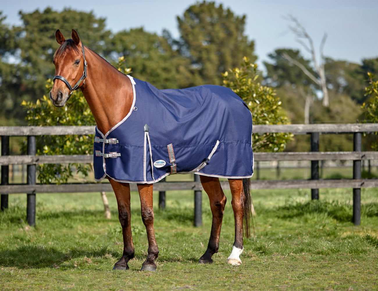 WeatherBeeta ComFiTec Essential Standard Neck Lite