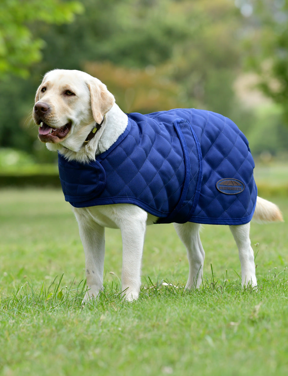 WeatherBeeta ComFiTec Deluxe Diamond Quilt Dog Coat