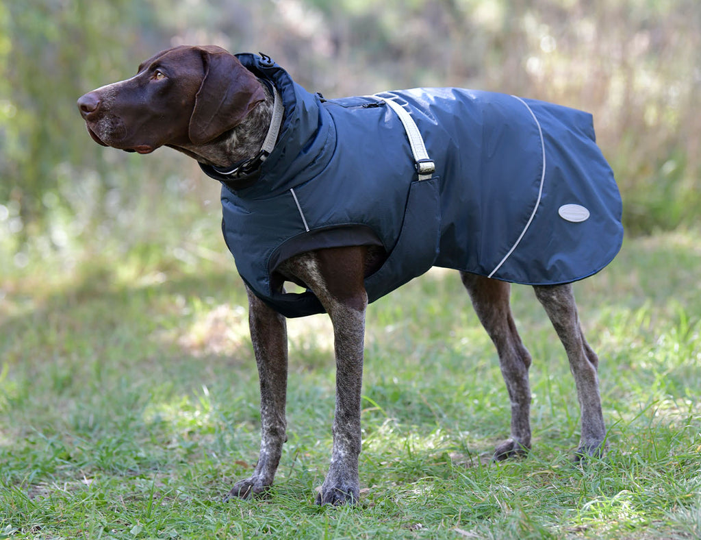 WeatherBeeta Explorer Medium Dog Coat