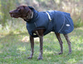 WeatherBeeta Explorer Medium Dog Coat