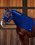 WeatherBeeta Stretch Hood