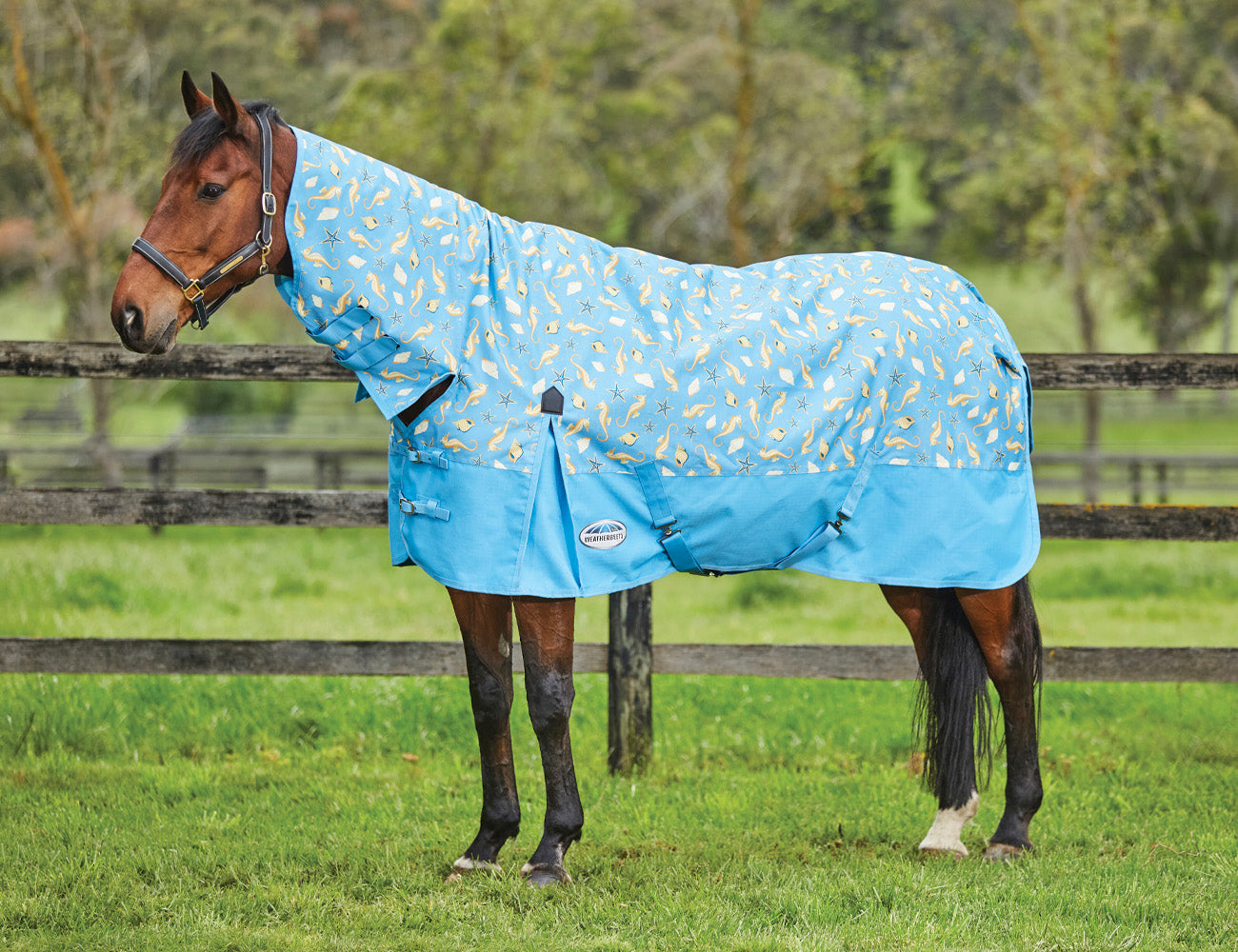 WeatherBeeta ComFiTec Essential Combo Neck Lite Plus