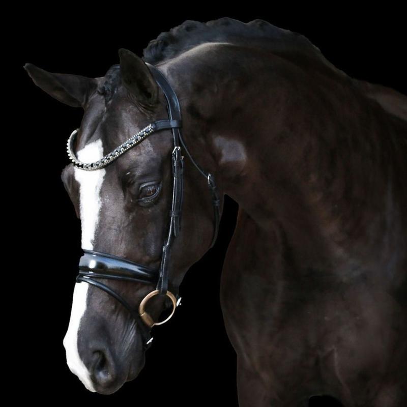 The Lumiere Audrey bridles