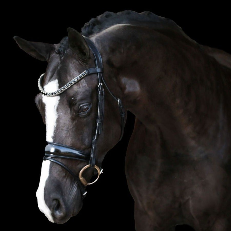 The Lumiere Audrey bridles