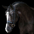 The Lumiere Audrey bridles
