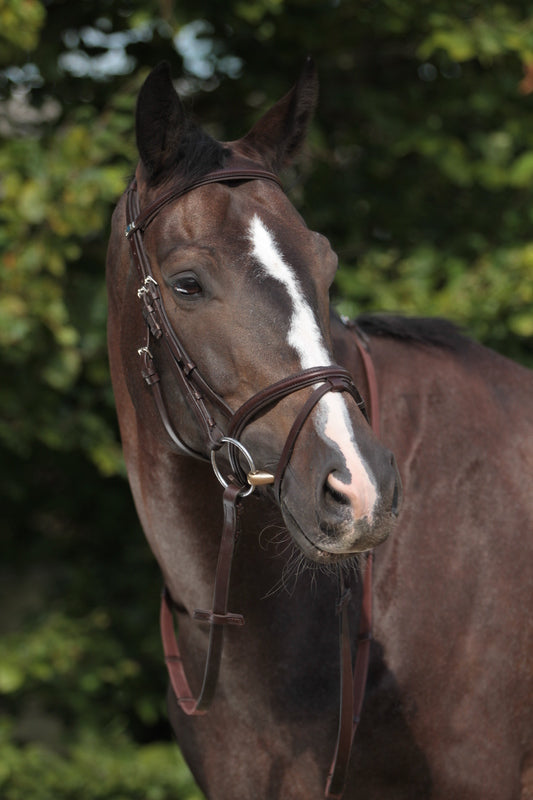 Stubben 2300C leitrim  snaffle bridles