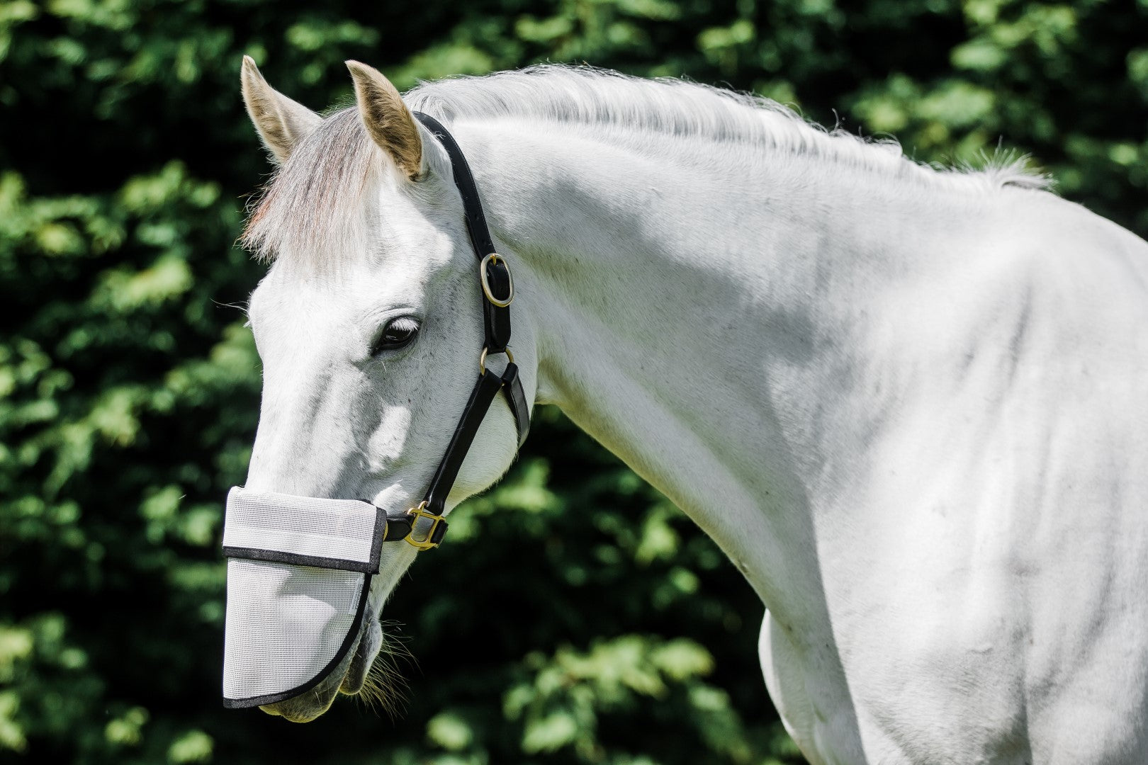 FLAIR SOLA SHADE NOSE GUARD