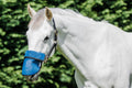 FLAIR SOLA SHADE NOSE GUARD