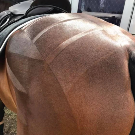 HAIRY PONY QTR MARKER BRUSH