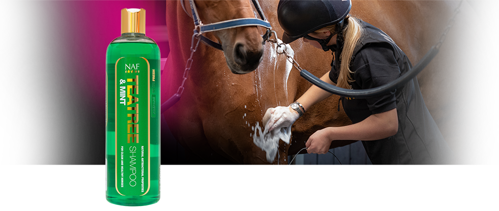NAF Tea Tree & MInt Shampoo
