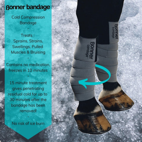 EQUINE BONNER ICE BANDAGE