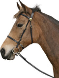 Cavallino inhand bridle