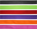 FLAIR HEAVY DUTY NYLON WEB HALTER