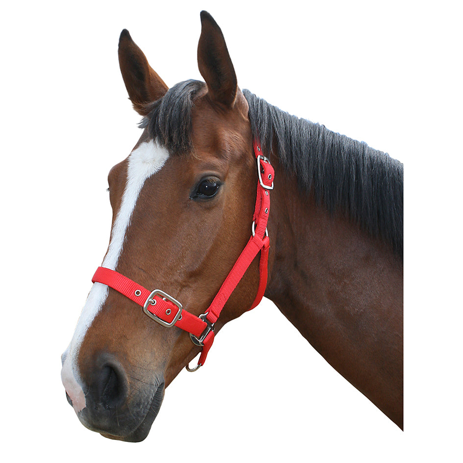 Flair nylon halter