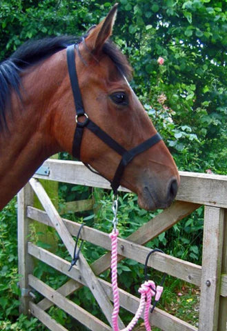 EQUITIE SAFETY TIE