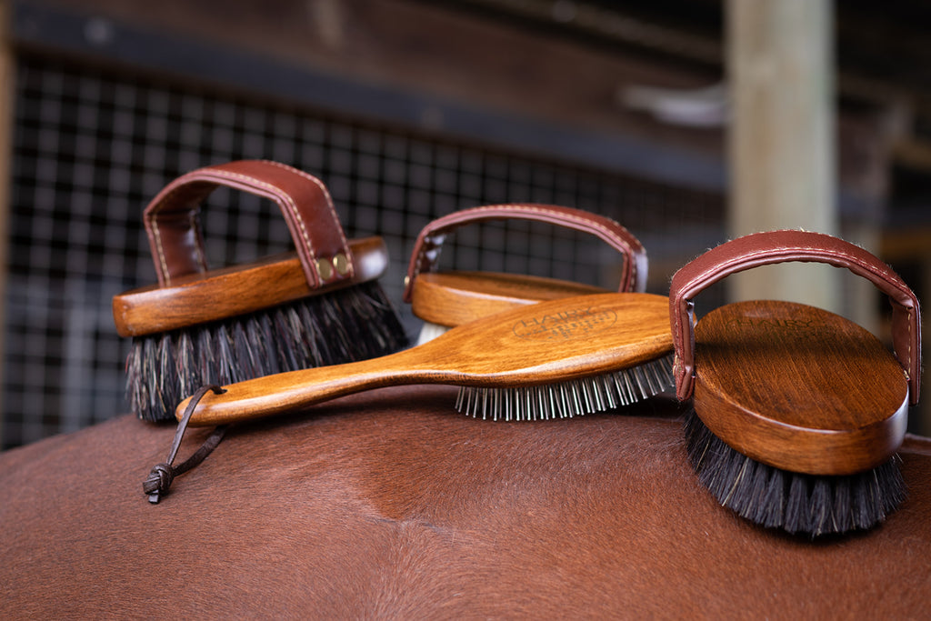 Hairy Pony Luxurious Brush Kit
