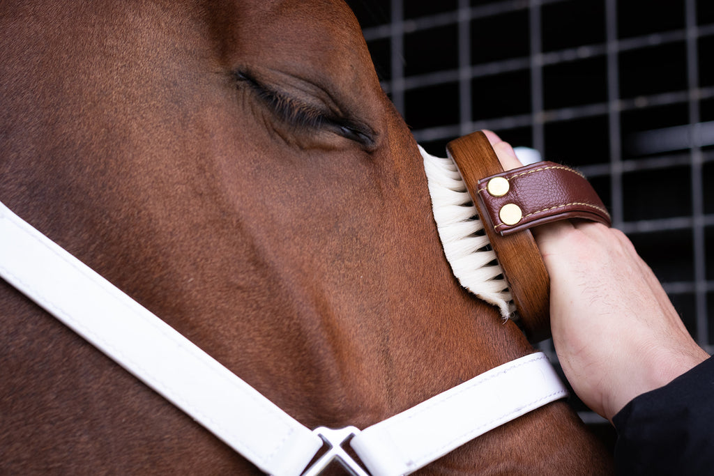 Hairy Pony Luxurious Brush Kit
