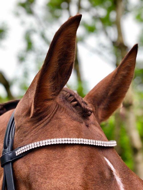 Hairy Pony Fastening Scissors