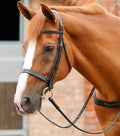 PE Primo Hunter Bridle