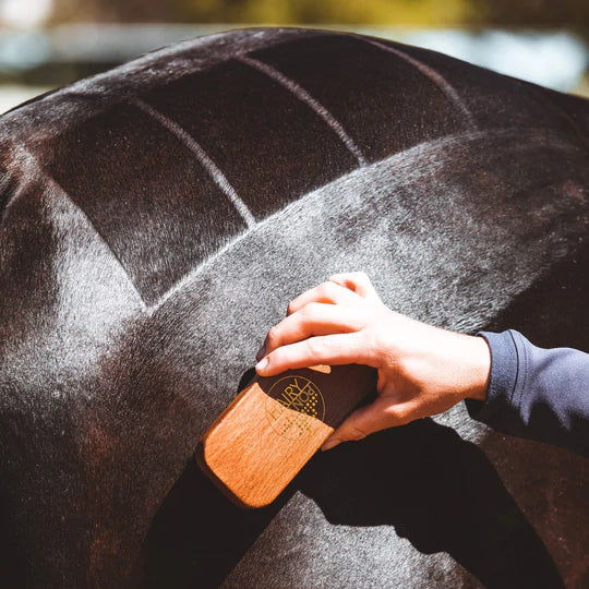 HAIRY PONY QTR MARKER BRUSH