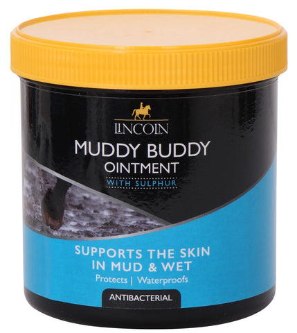 Lincoln muddy buddy