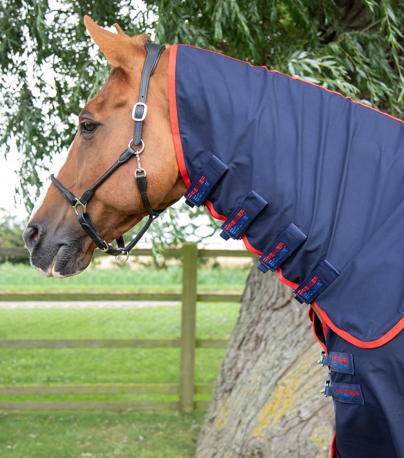Combo Horse Stable Sheet